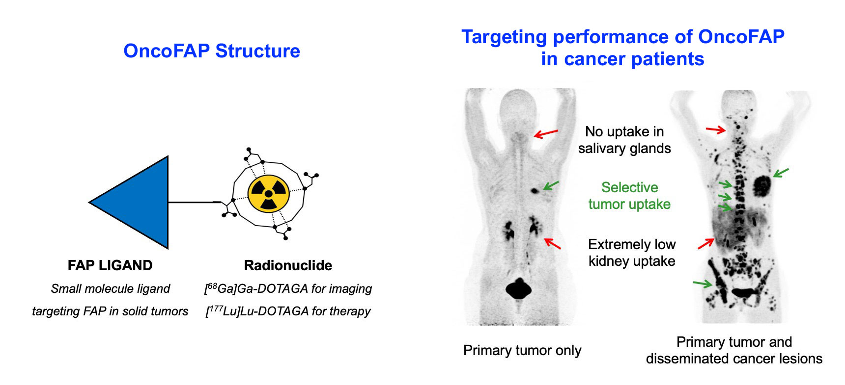 pipeline-oncofap-c