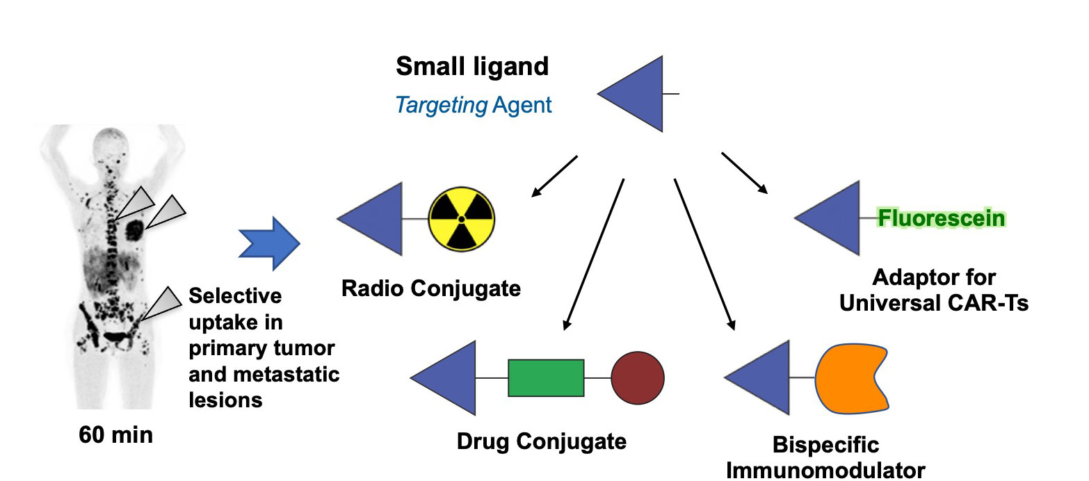 smallligand