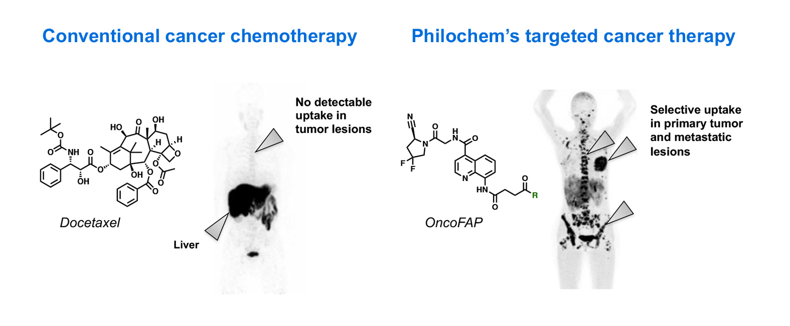 _Strategy-Ligand-based-targeting-